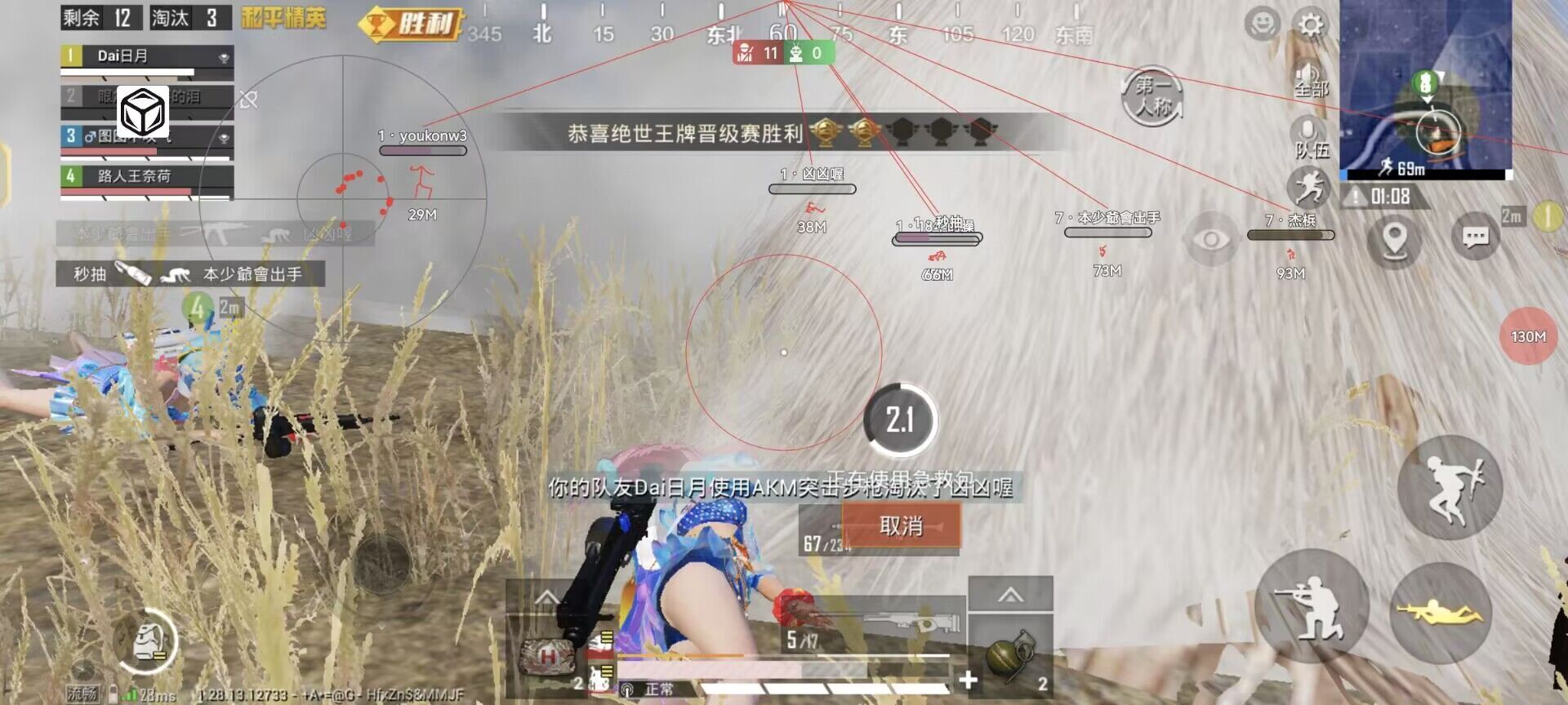 和平精英「小提琴」直装辅助